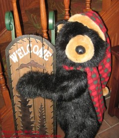 Christmas bear--photo Julie McCarty--Eagan MN