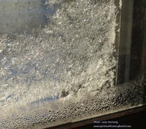 God's Artwork--Ice Crystals--photo by Julie McCarty--Eagan MN