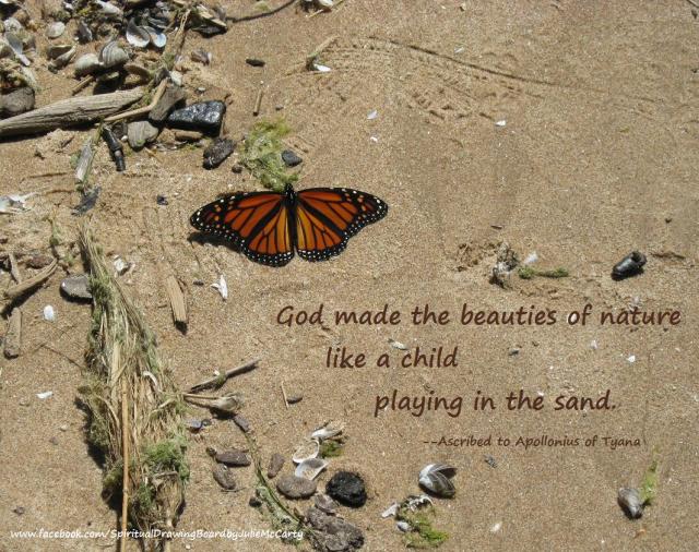Butterfly on sandy beach with Apollonius saying--Julie McCarty