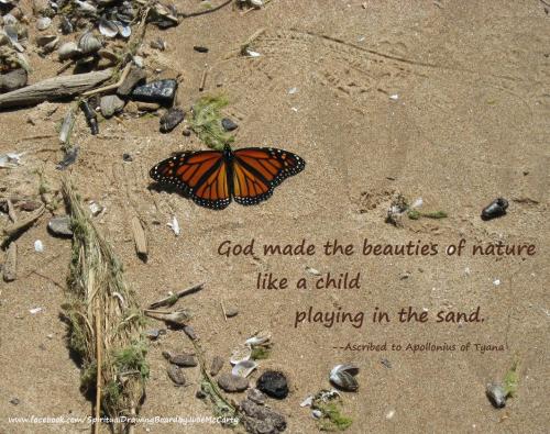 Butterfly on sandy beach with Apollonius saying--Julie McCarty