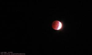 Oct 2014 Lunar eclipse--photo by Julie McCarty