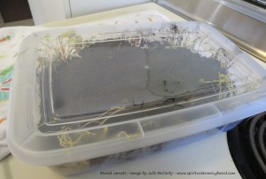 Box from cold, dark storage